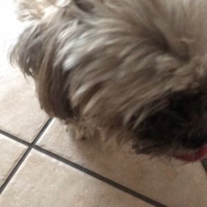 Meet your Posher, Anne